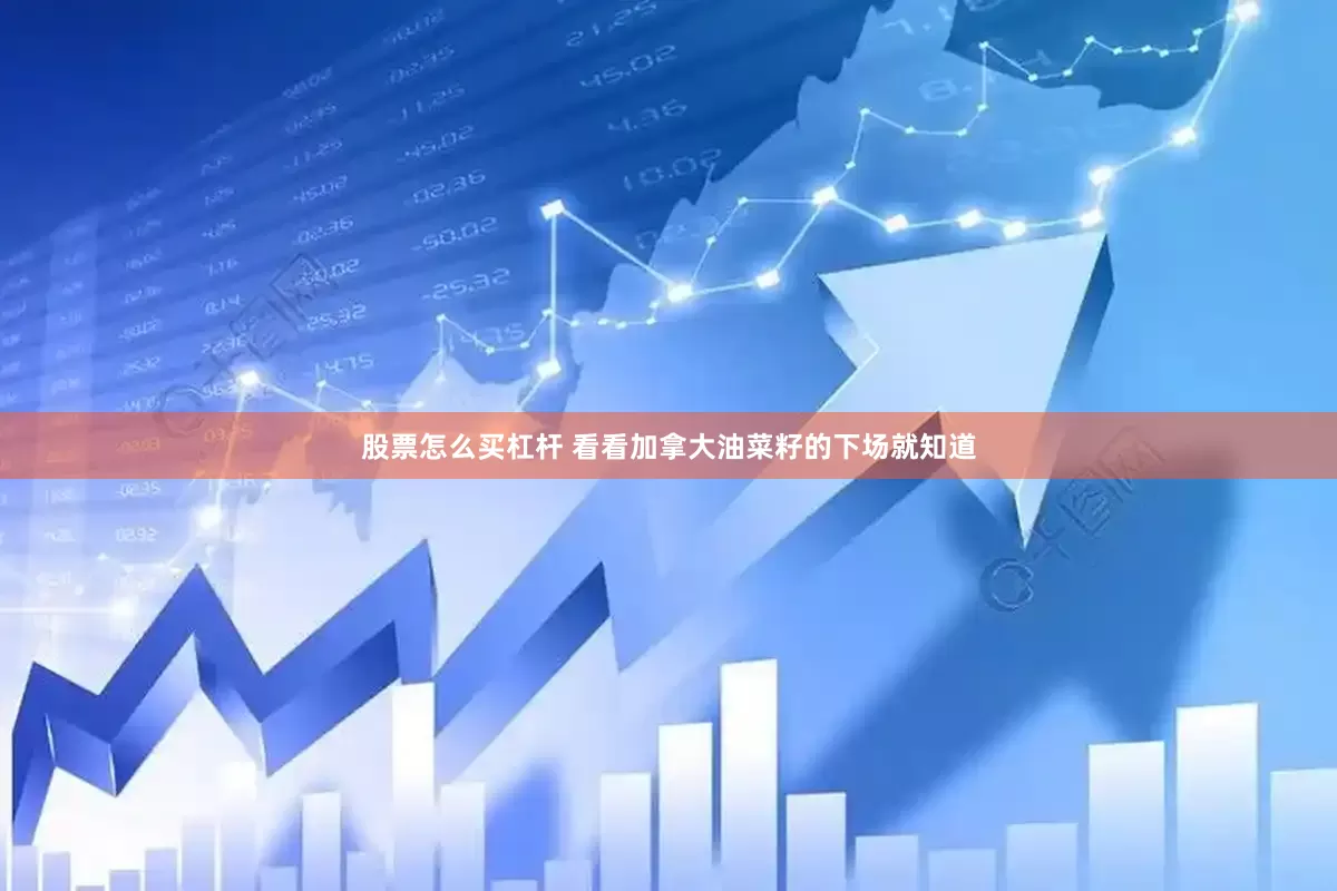 股票怎么买杠杆 看看加拿大油菜籽的下场就知道