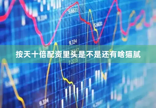 按天十倍配资里头是不是还有啥猫腻